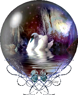 globe reflet cygne